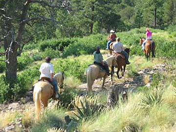 Group trail ride through the forest